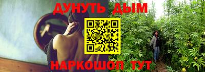 прущие грибы Наро-Фоминск